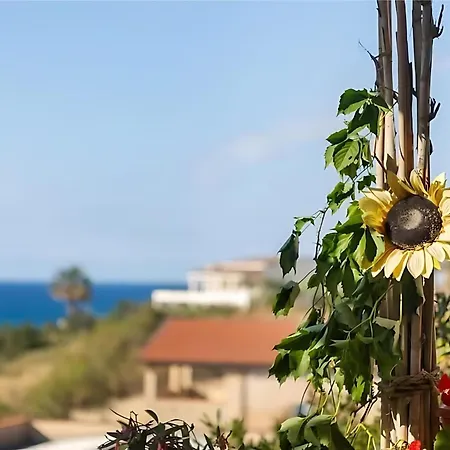 Casa Violisa